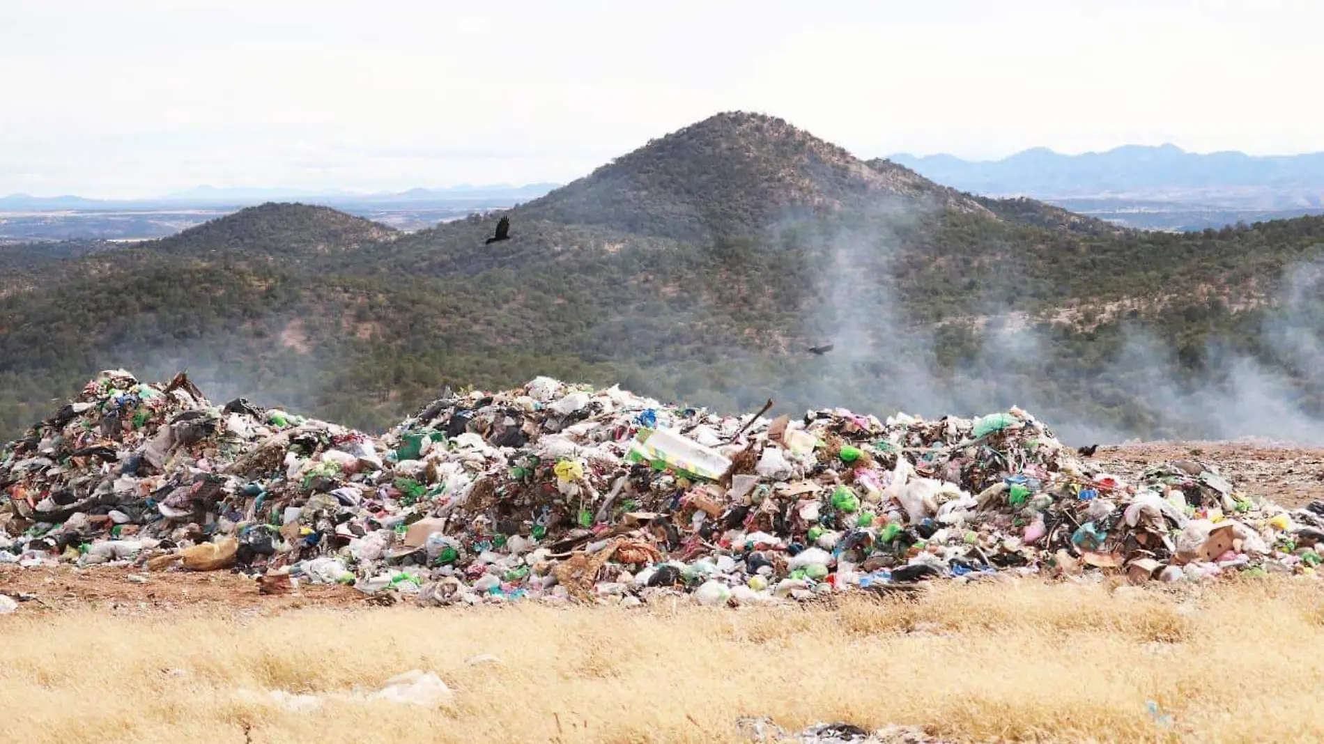 basura en cuahutemoc